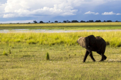 discover-ugandas-wild-safari-20-days-1024x461